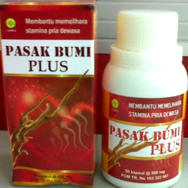 PASAK BUMI