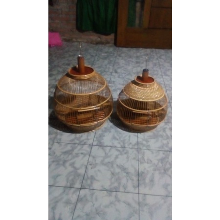 sangkar kandang kurung burung rotan asli perkutut puter