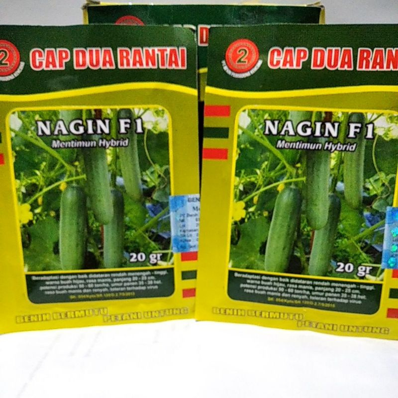Benih timun NAGIN F1 20gram