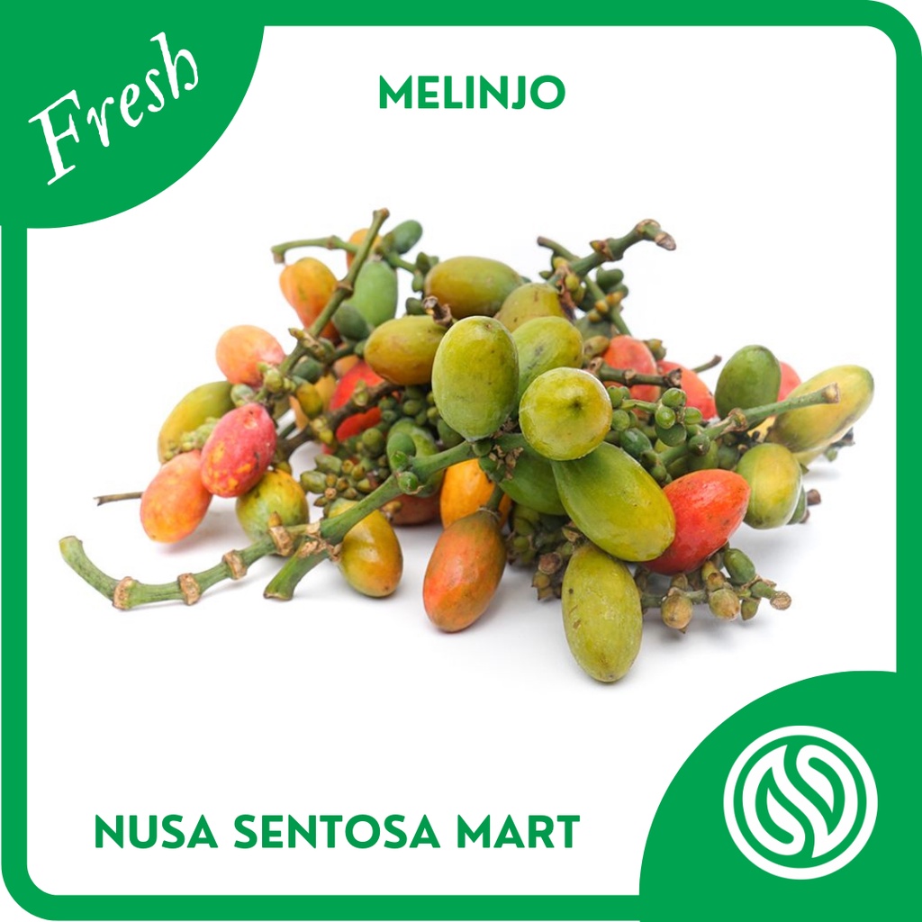 

Sayur Melinjo Segar – 250g