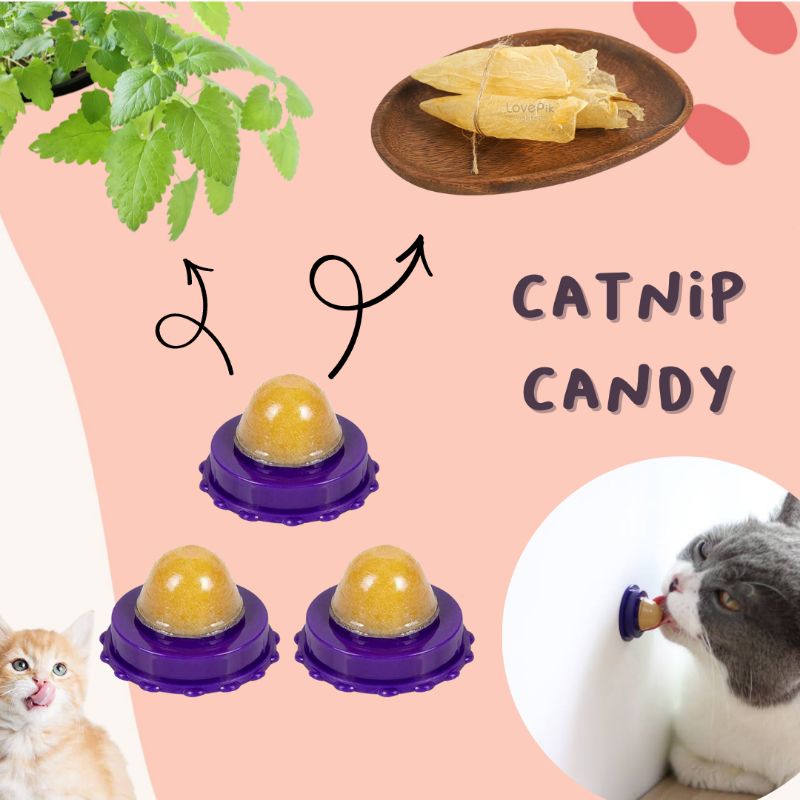 Permen Camilan Untuk Kucing/Catnip Ball/Catnip Candy