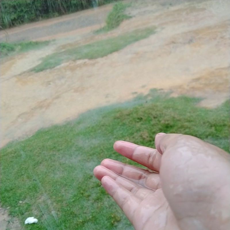 

✨air hujan murni✨