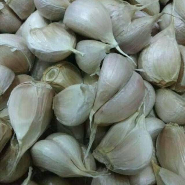 

Bawang putih kating bersih 500 gram ( terpisah dari bonggol)