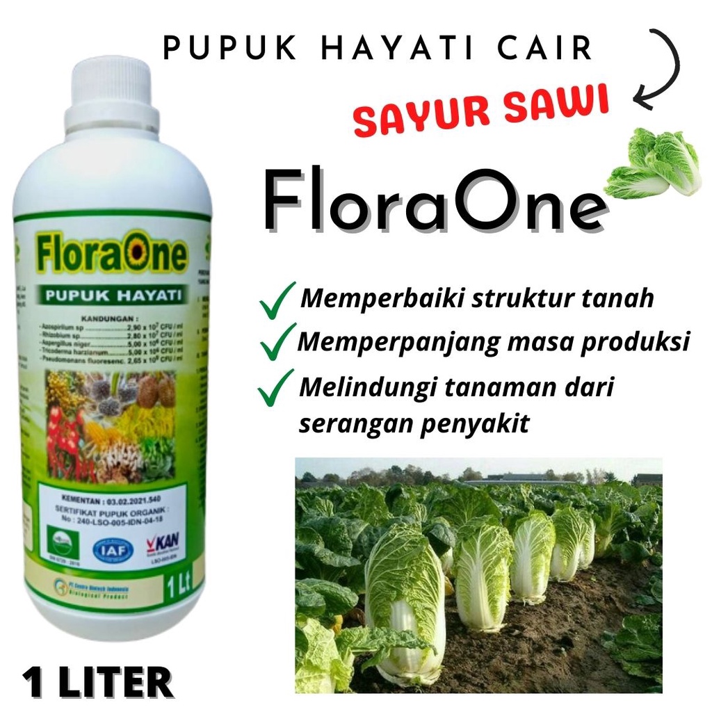 Pupuk Sawi Hidroponik, Pupuk Hayati Cair Melindungi Tanaman dari Penyakit