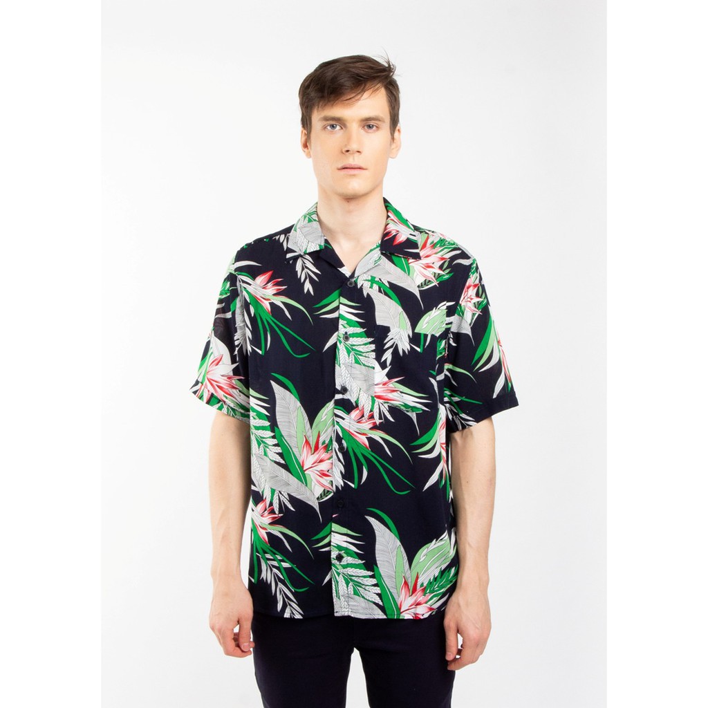 

Erigo Hawaii Higgs Navy