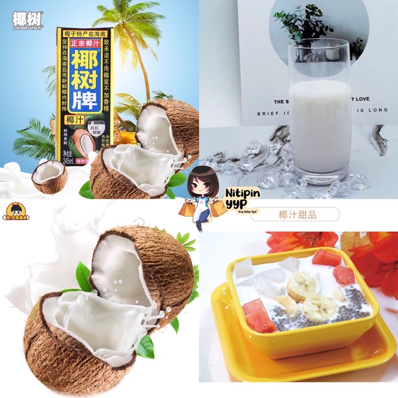 SUSU KELAPA Original China - Coconut Palm Juice - Minuman Kelapa Asli Campuran Susu Siap Diminum - China Coconut Milk (245mL)