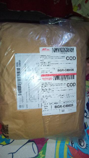 Tyrano Redfox - Cod Only