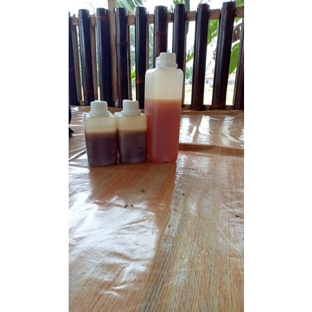 

madu murni asli jawatimur