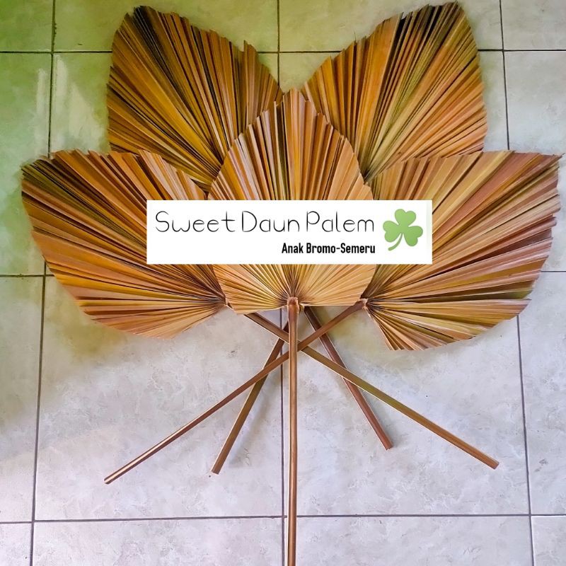10 Batang | Daun kering aesthetic | Daun palem kering
