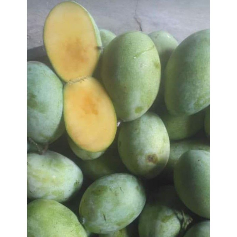 

buah mangga manalagi super 1 kg