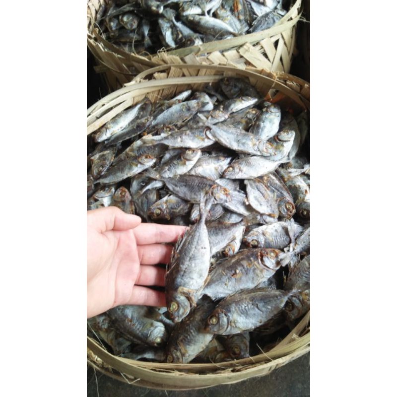 

ikan Tapis Sibolga 1 kg
