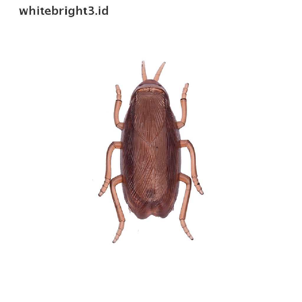 (whitebright3.id) Mainan Interaktif Kecoa Elektronik Tenaga Baterai Untuk Kucing