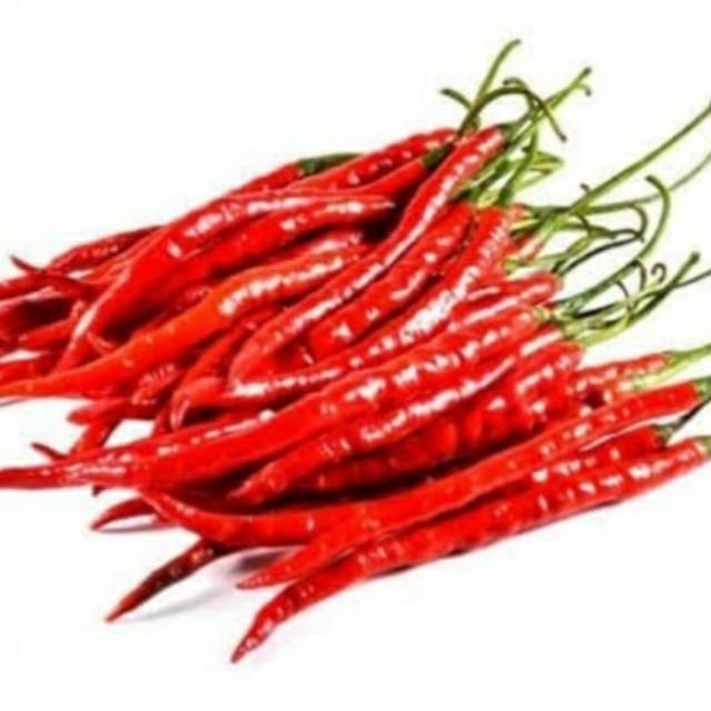 

Cabai Merah Keriting