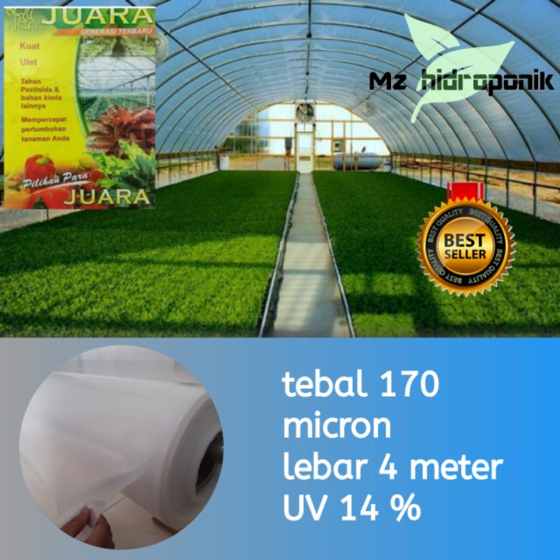 Teh_Teh Maniez Plastik Uv Lebar 4 Meter Tebal 170 Micron/Uv 14%/Juara