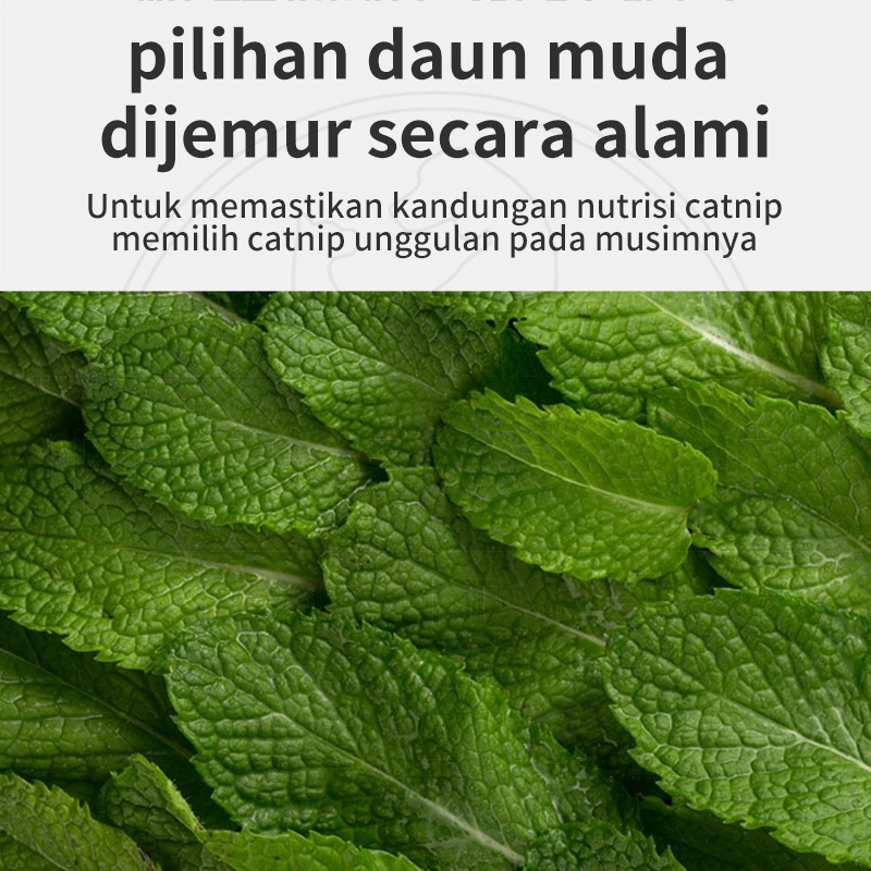 Catnip Catmint Snack Kucing Pure Cat Mint Powder Cemilan Hewan Peliharaan