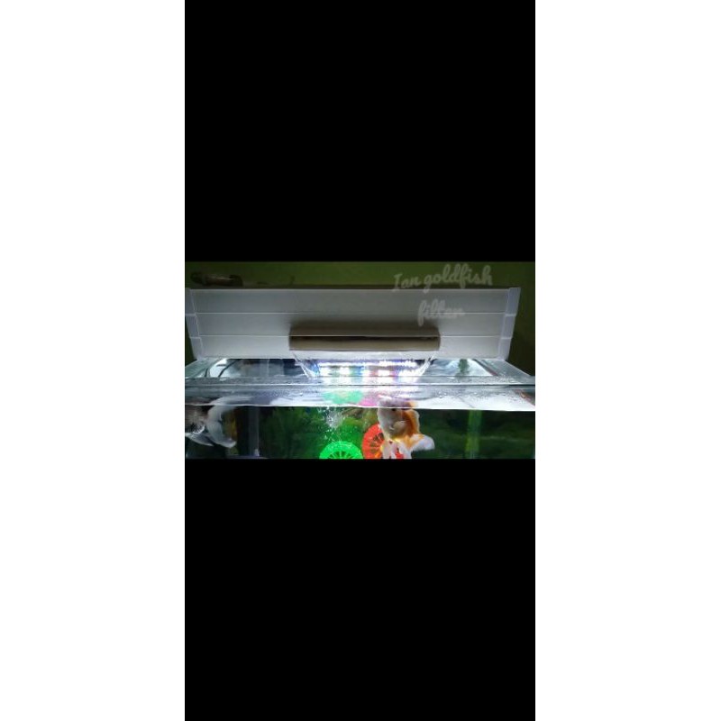 CUSTOM TOP FILTER TALANG / BOX FILTER AQUARIUM HARGA PROMO / Talang filter 60cm waterffal untuk lamp