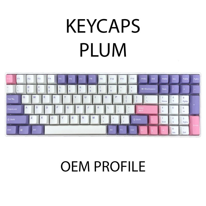 KEYCAPS PBT PLUM LAVENDER DOUBLE SHOT OEM PROFILE MECHANICAL KEYBOARD