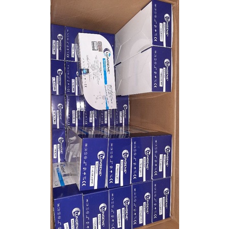 rapid antigen clungen