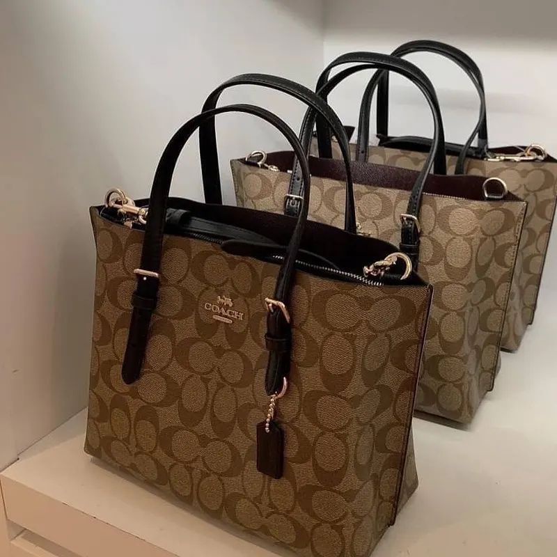 Coach Mollie Tote 25