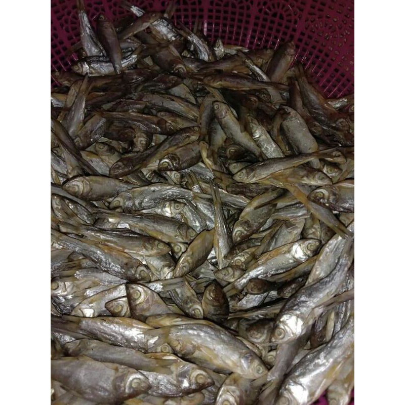 

IKAN ASIN KENDIA
