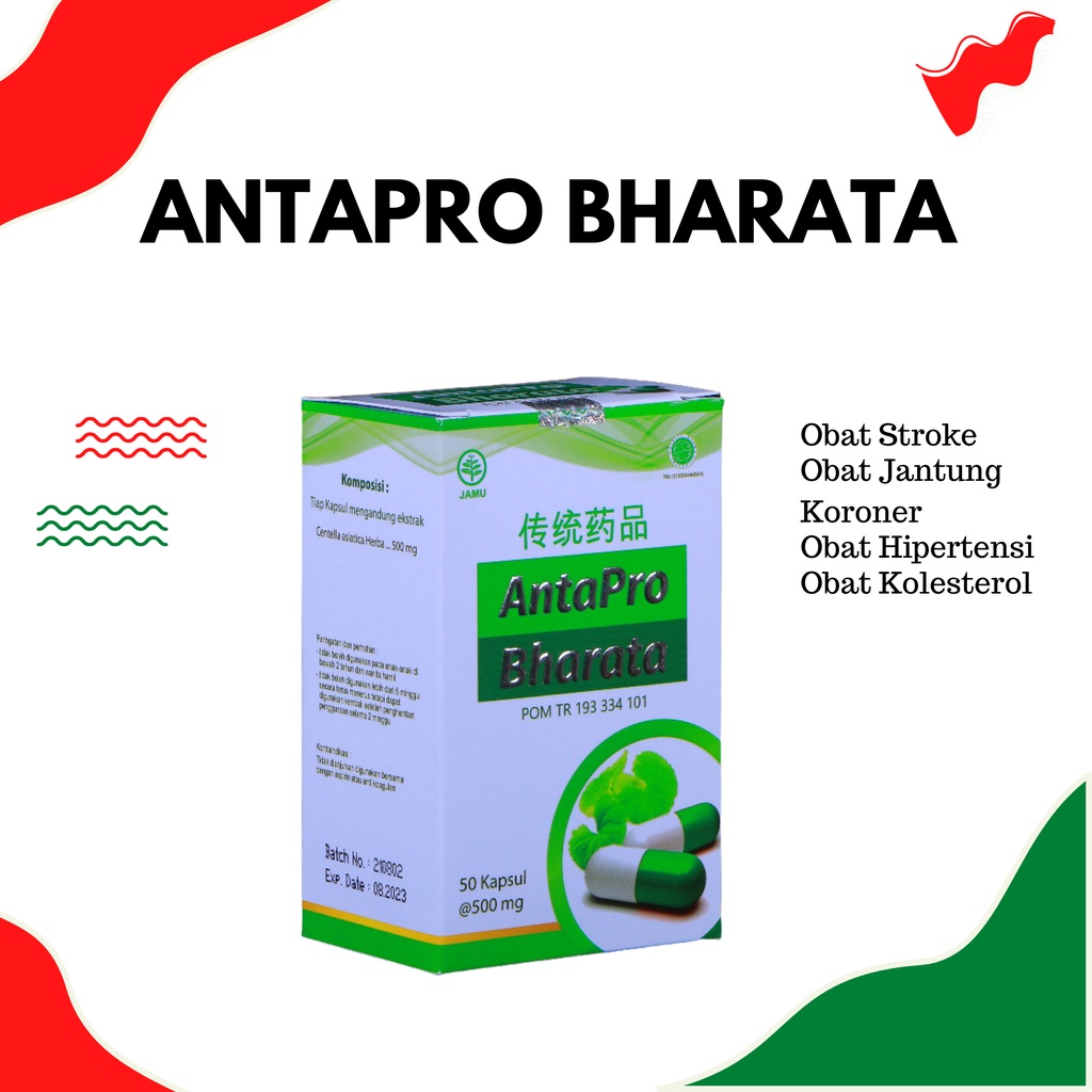 

Antapro Bharata Obat Pengencer Darah Herbal 50 Kapsul Premium