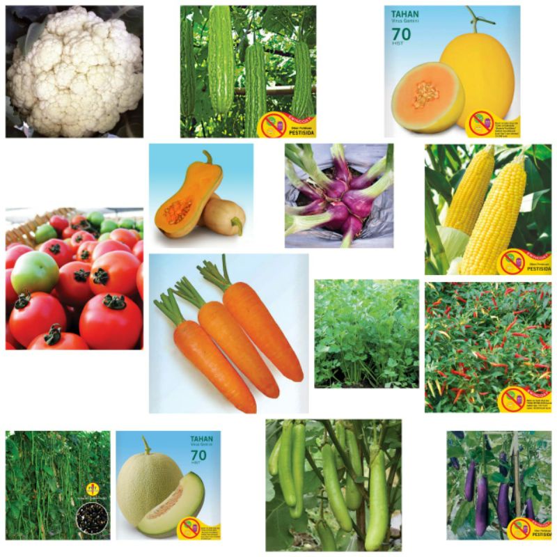 PAKET BENIH BERKUALITAS BIBIT BUAH SAYUR DAN BUNGA ISI 14 MACAM