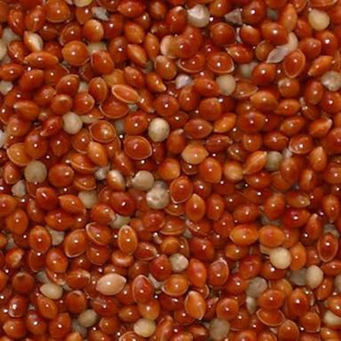 

Special Milet merah kiloan ( red millet ) Diskon
