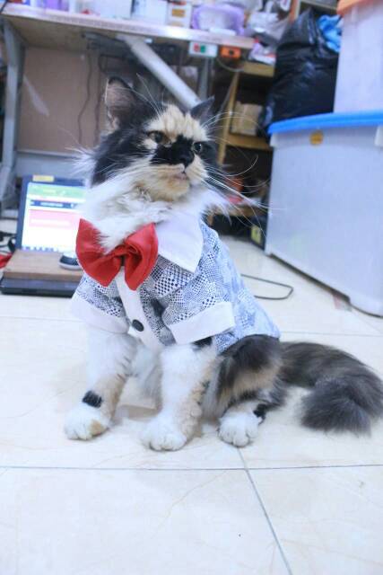 Tuxedo hitam putih totol-totol lucu untuk kucing size S M L XL