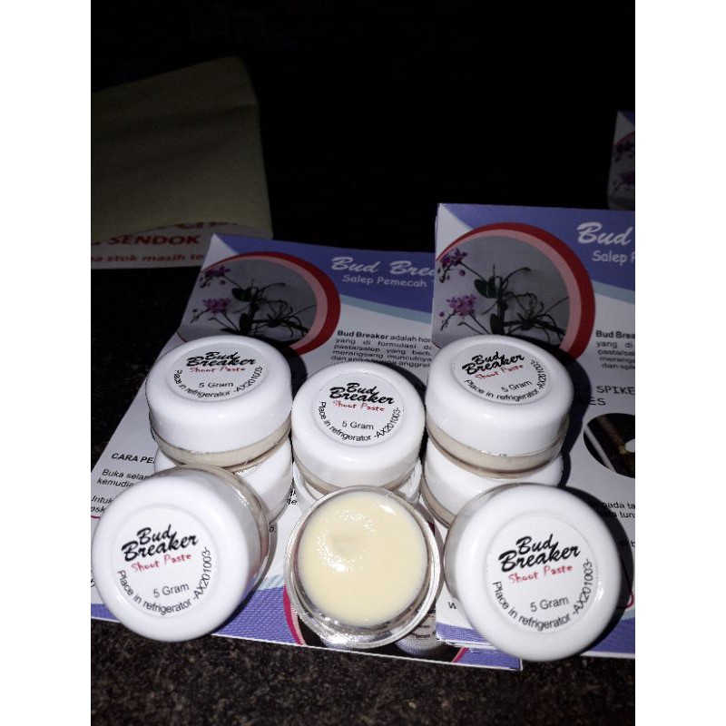 Bud Breaker Penumbuh Tunas Anggrek