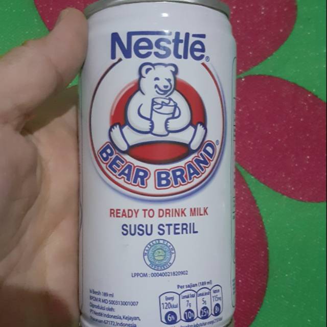 

Susu beruang