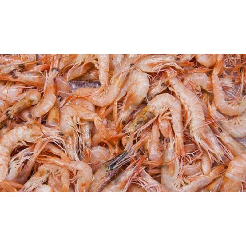 

udang rebon 100 g