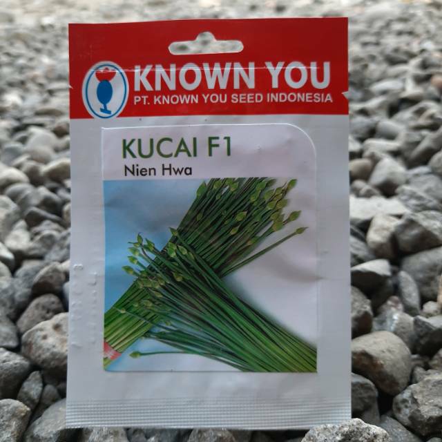 Benih Bibit Biji Kucai NIEN HWA F1 (80btr)