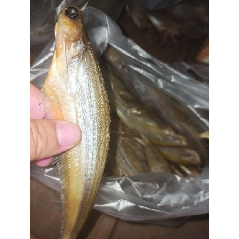 

Ikan Kering Lais 250gr