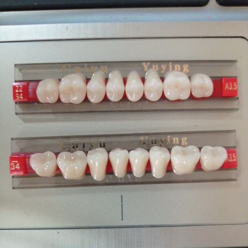 GIGI PALSU AKRILIK CAIYU ANTERIOR A3.5 - SEPASANG GERAHAM ATAS BAWAH