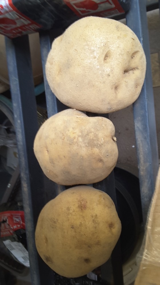 Kentang Dieng Super Jumbo (1kg)