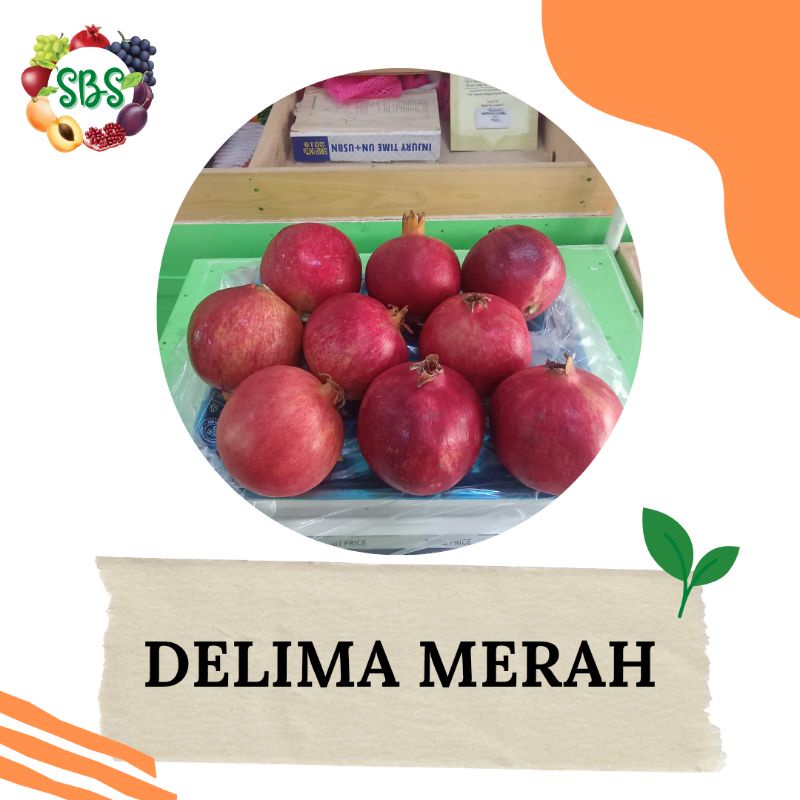 

Delima India Merah Pomegranate 1 Buah - Stadion Buah Segar