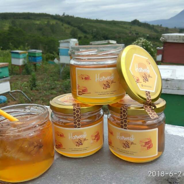 

Madu Harvest Bee, madu organik murni 100% (dipanen langsung dari Puncak 2000 Kabanjahe)