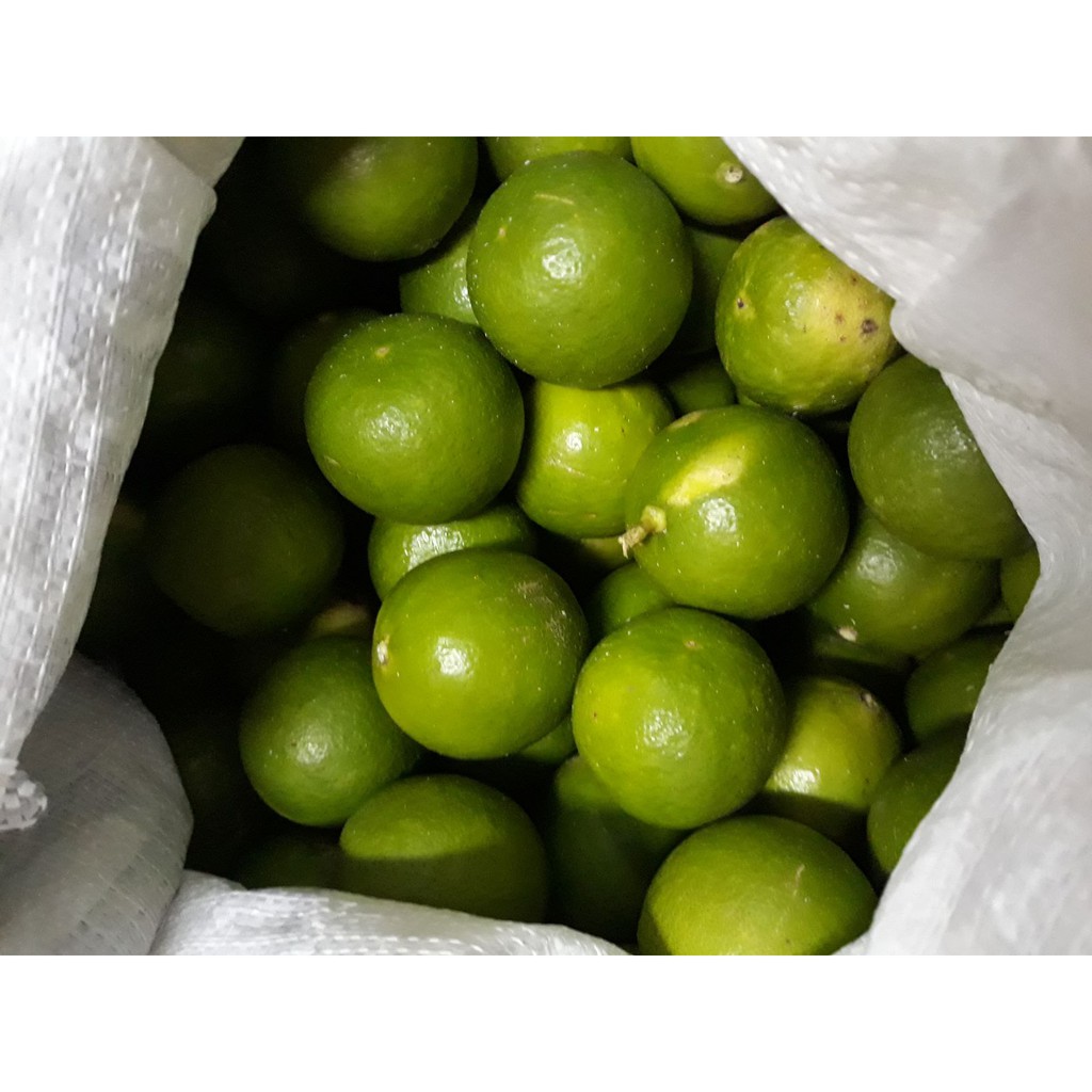

jeruk nipis segar 200gr