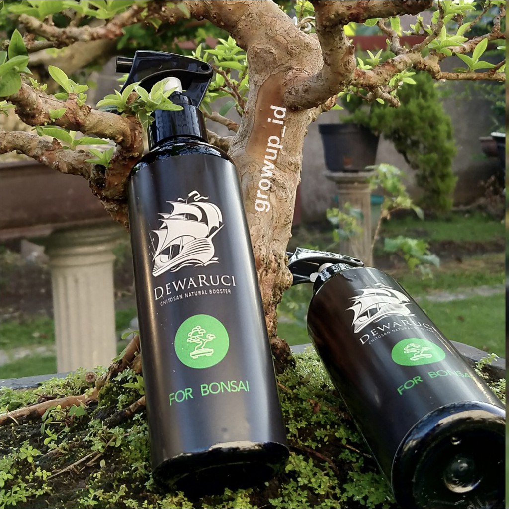 Pupuk Organik untuk bonsai Chitosan Dewaruci 200 ml
