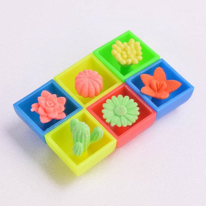 Growing in Water Cactus Toys (6pcs)