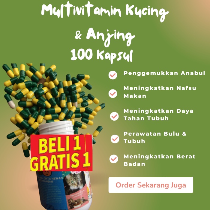 VITAMIN KUCING NAFSU MAKAN KUCING PENGGEMUK KUCING VITAMIN BULU KUCING RONTOK ANTIBODY VITAMIN KUCIN