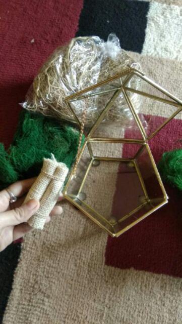 Rumput Kayu Angin Hijau 20gr