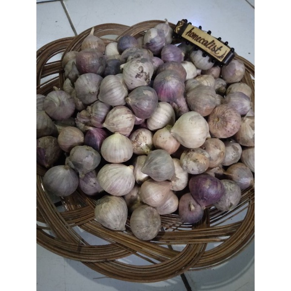 bawang putih tunggal / bawang putih lanang