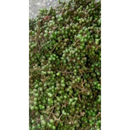 

andaliman(500gr)