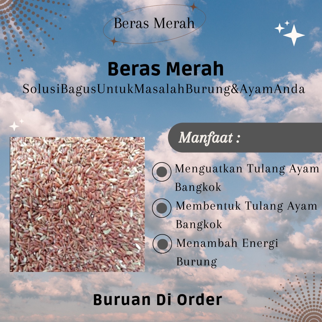 Beras Merah / Pakan Ayam / Pakan Burung