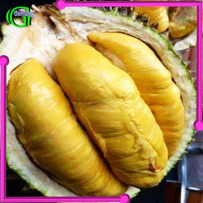 Buah Durian Montong Palu Daging Tanpa Biji Frozen 500gr daging durian medan Beku 1kg Siap Makan Terd