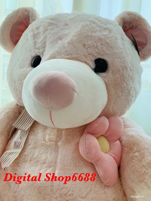 Boneka Teddy Bear (Beruang) Jumbo Tinggi 1Meter ( 100% Import )