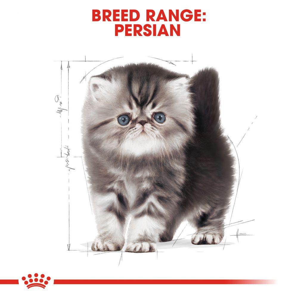 ROYAL CANIN Kitten Persian 4KG MAKANAN KERING ANAK KUCING