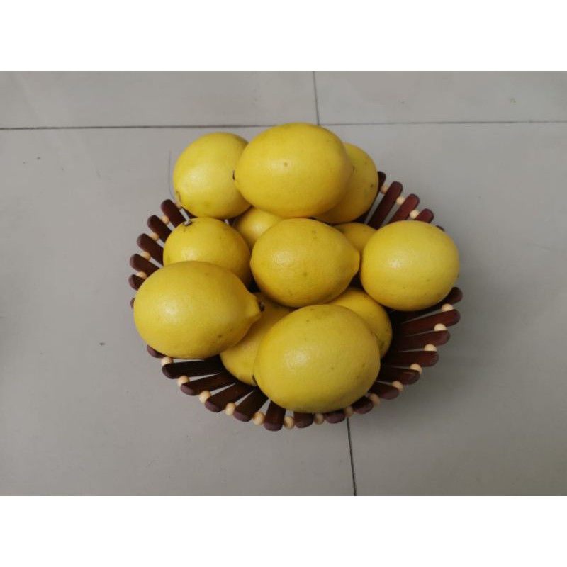 

LEMON CALIFORNIA