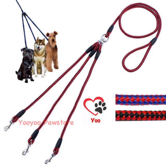 Tali tuntun 3 cabang anjing